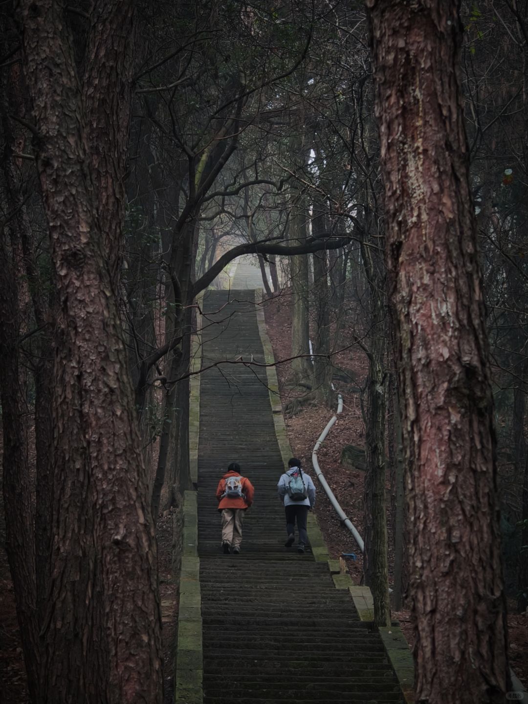 有压力怎么办，劝你快去山里