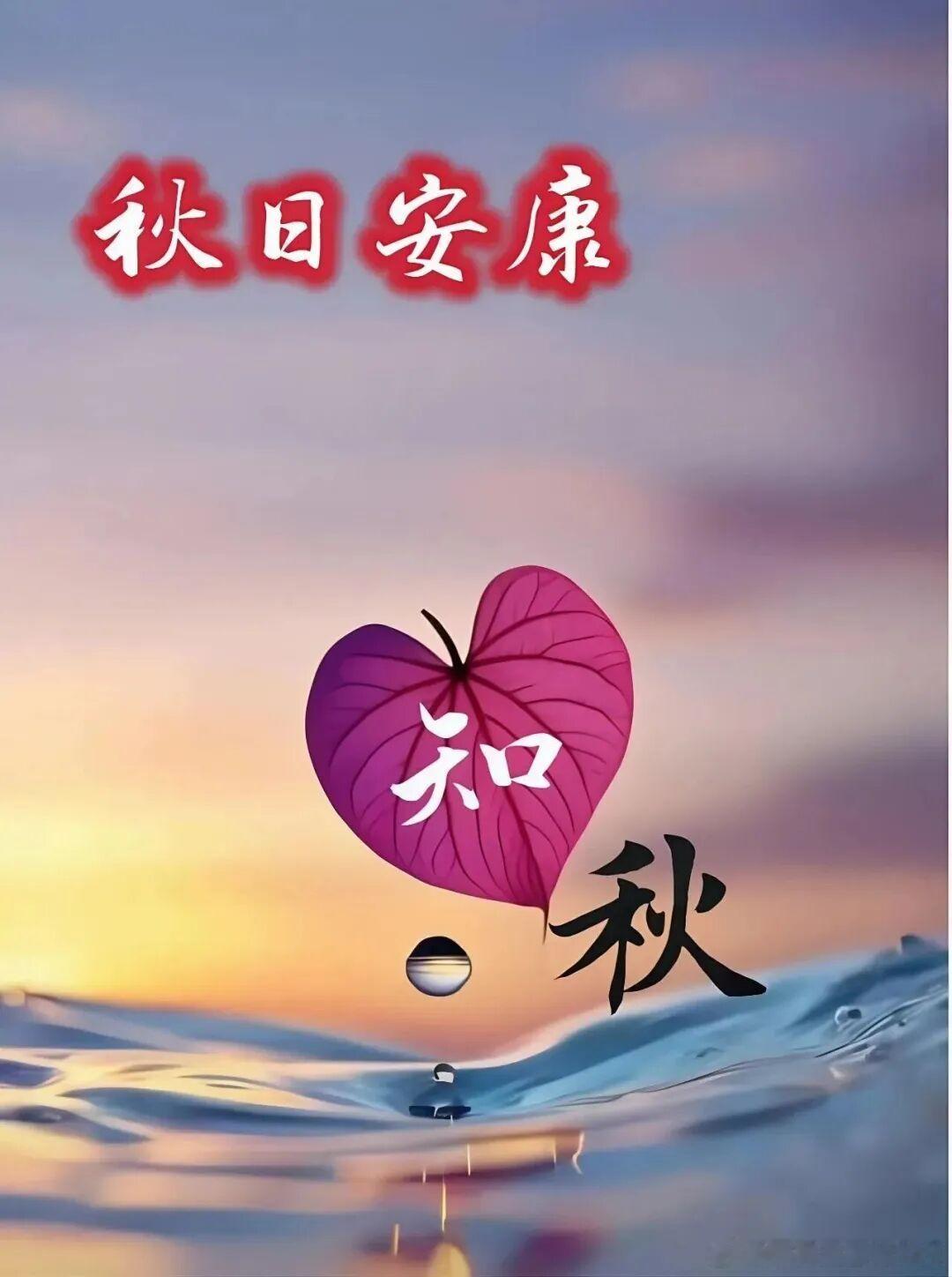 🌰²⁰²⁶/₀₉.₁₂ ᵕ̈🍂秋意渐深，天高气爽，阳光把大地照得干净而温厚。