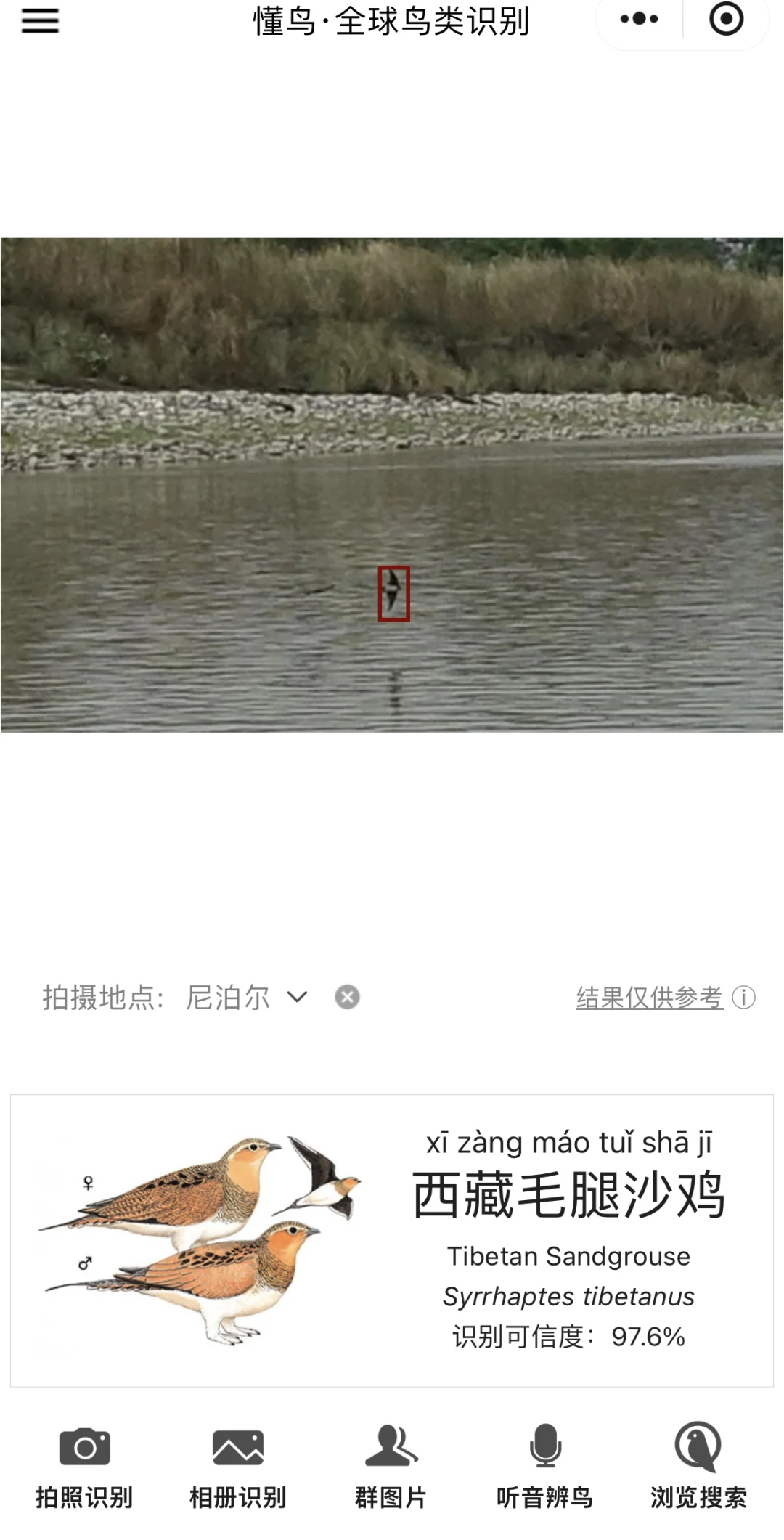 真的吗？懂师傅