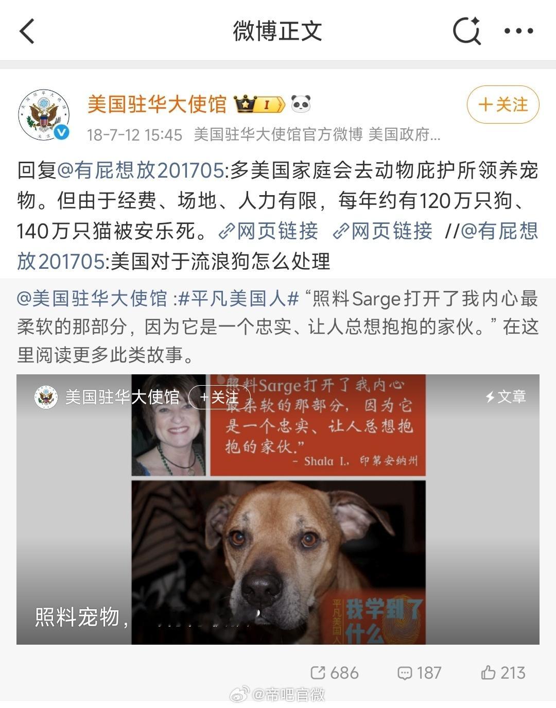 雷州做得好，在保护流浪猫狗这方面已达西方先进水平