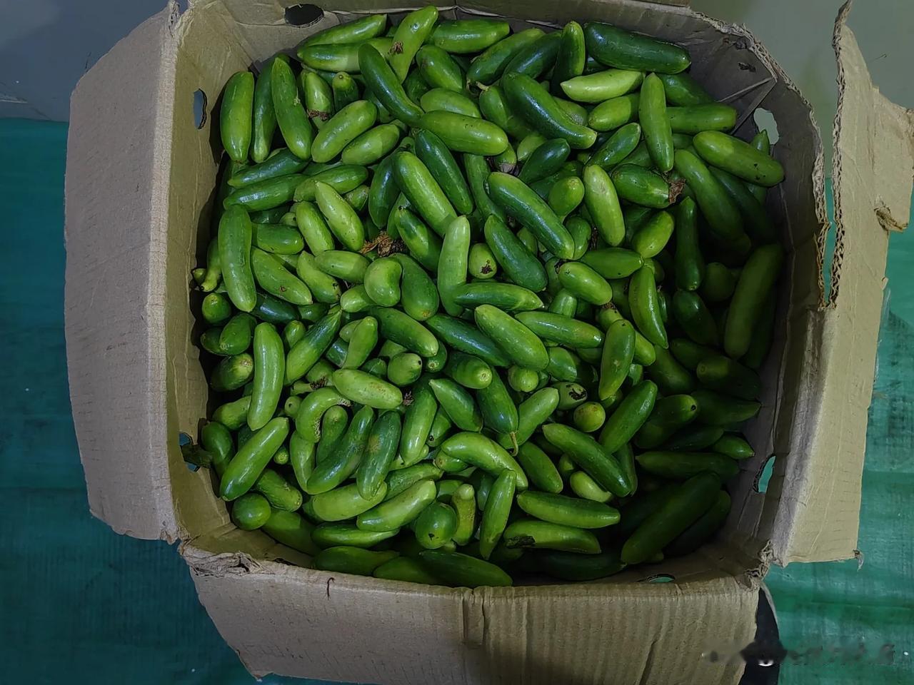 凌晨三点钟，二副全船广播，伙食来了，大家帮忙搬伙食，一个个的都没睡好，起来了，5