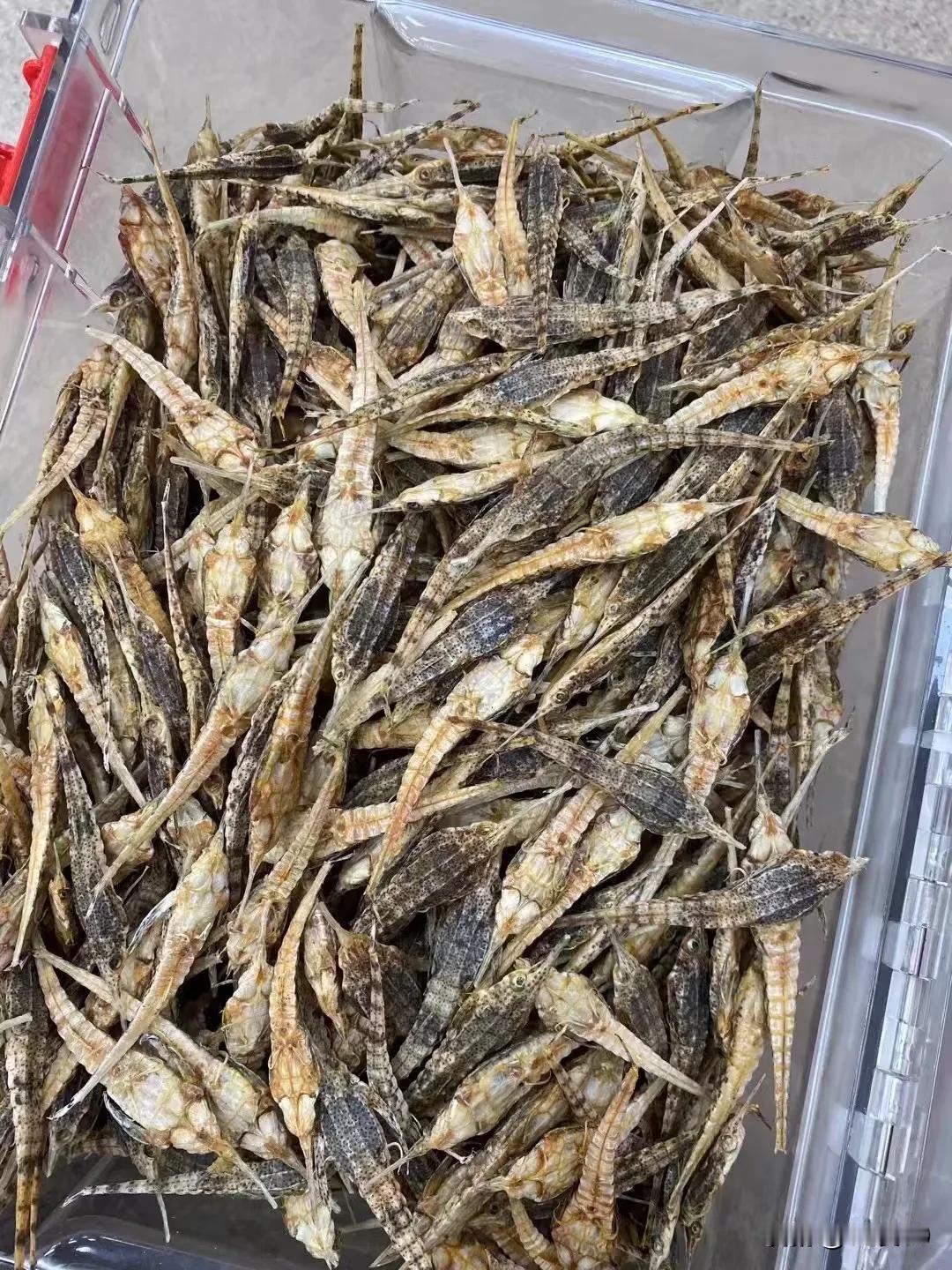 残酷的生活有时候确实能把一个人摧残到，钱才是这个世界上最重要的东西，好好努力的干