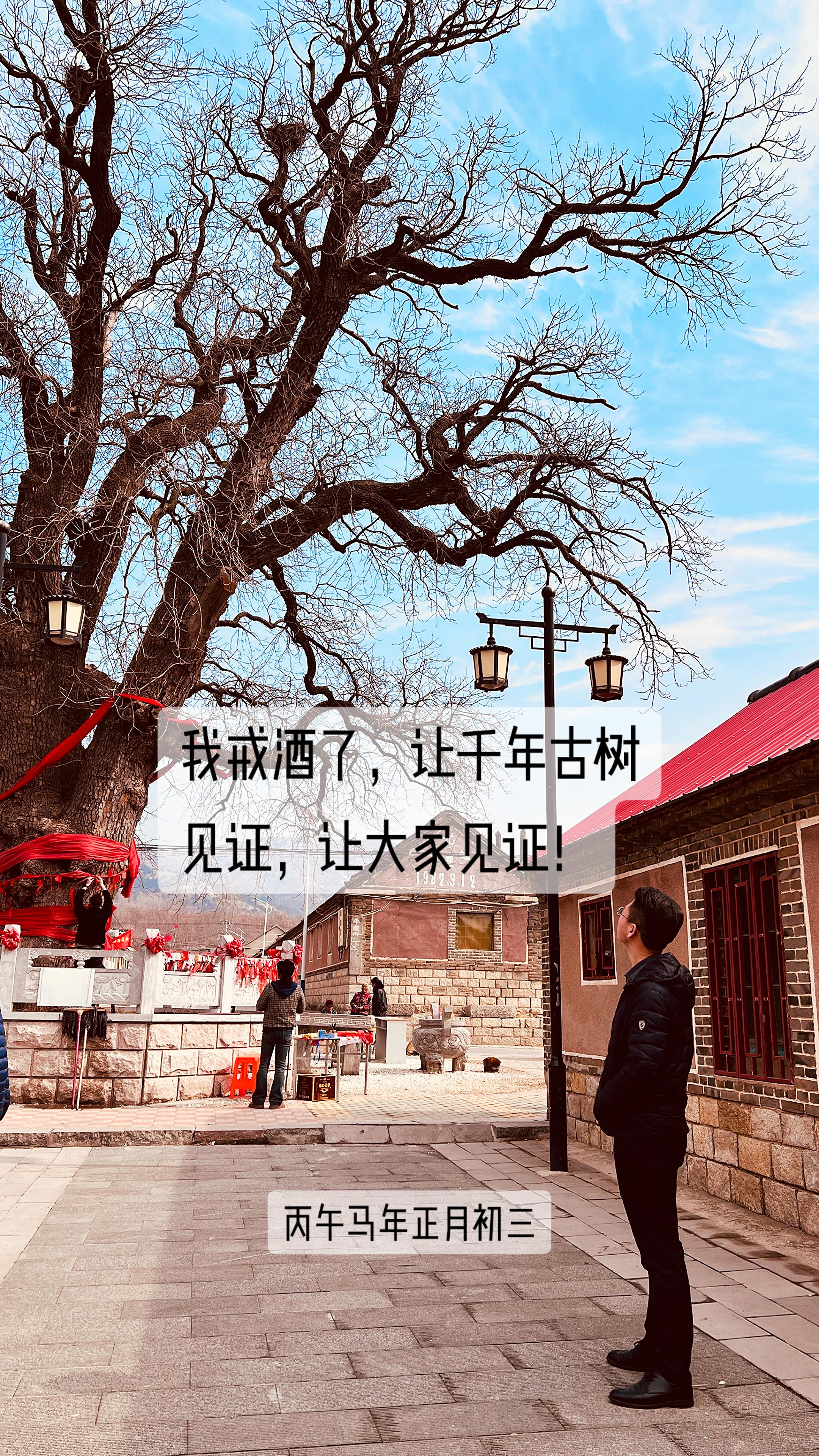 不经历光阴，树不会长大。不经历事情，人不会成长。愿岁月静好，生命柔缓！