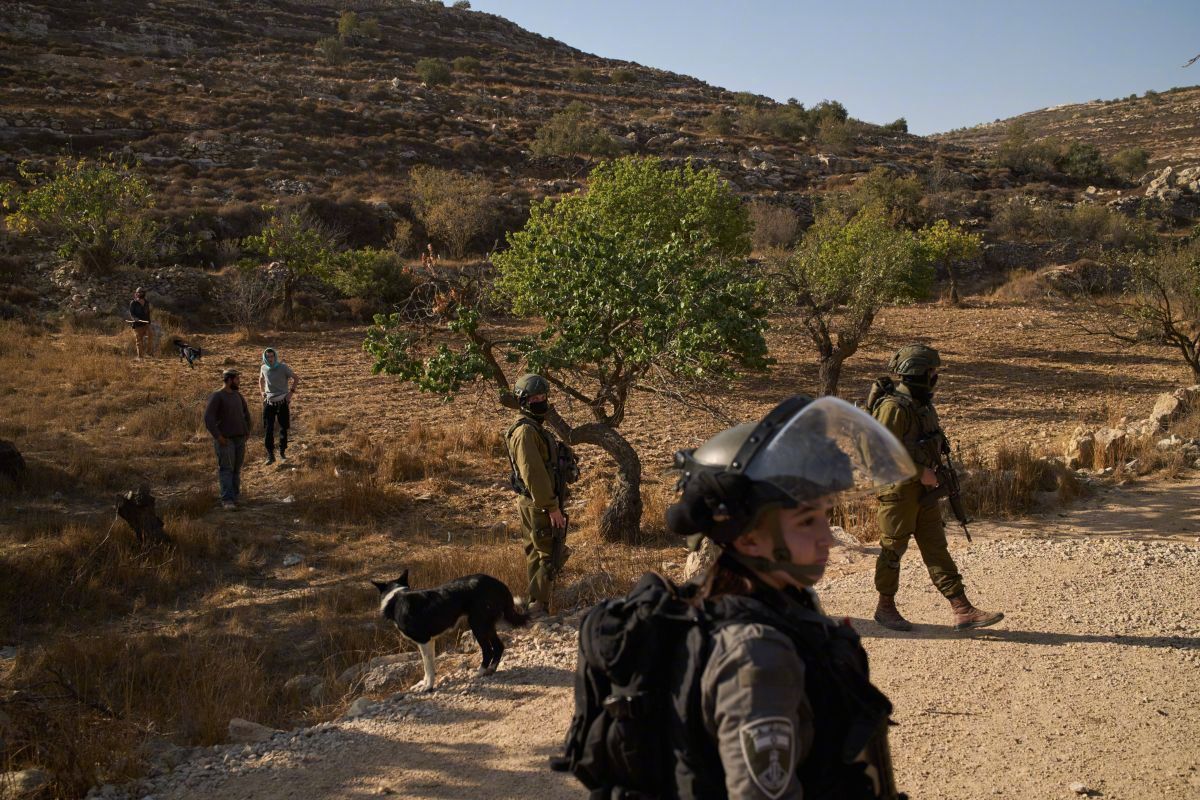 【法媒：#法德意英共同发声谴责以色列#】据法新社11月27日报道，法国、德国、意