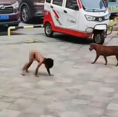 了解过野人小孩的妈妈后，突然明白为什么他们把孩子养成这样了：

网传视频里，孩子