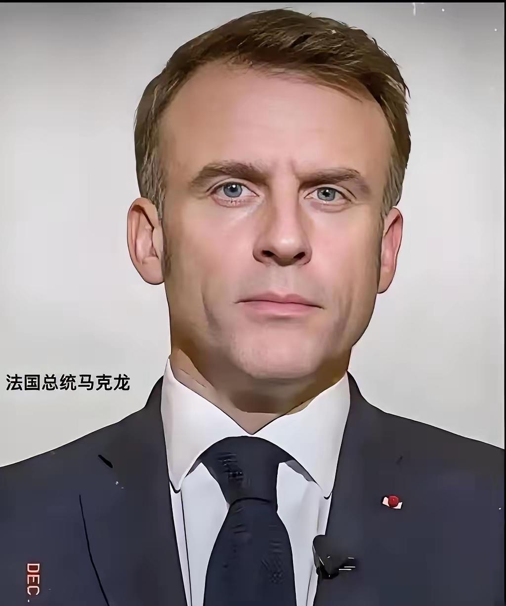 法国传来的消息
4月8日，法国总统马克龙亲口说了，大概15个国家已经行动起来，在