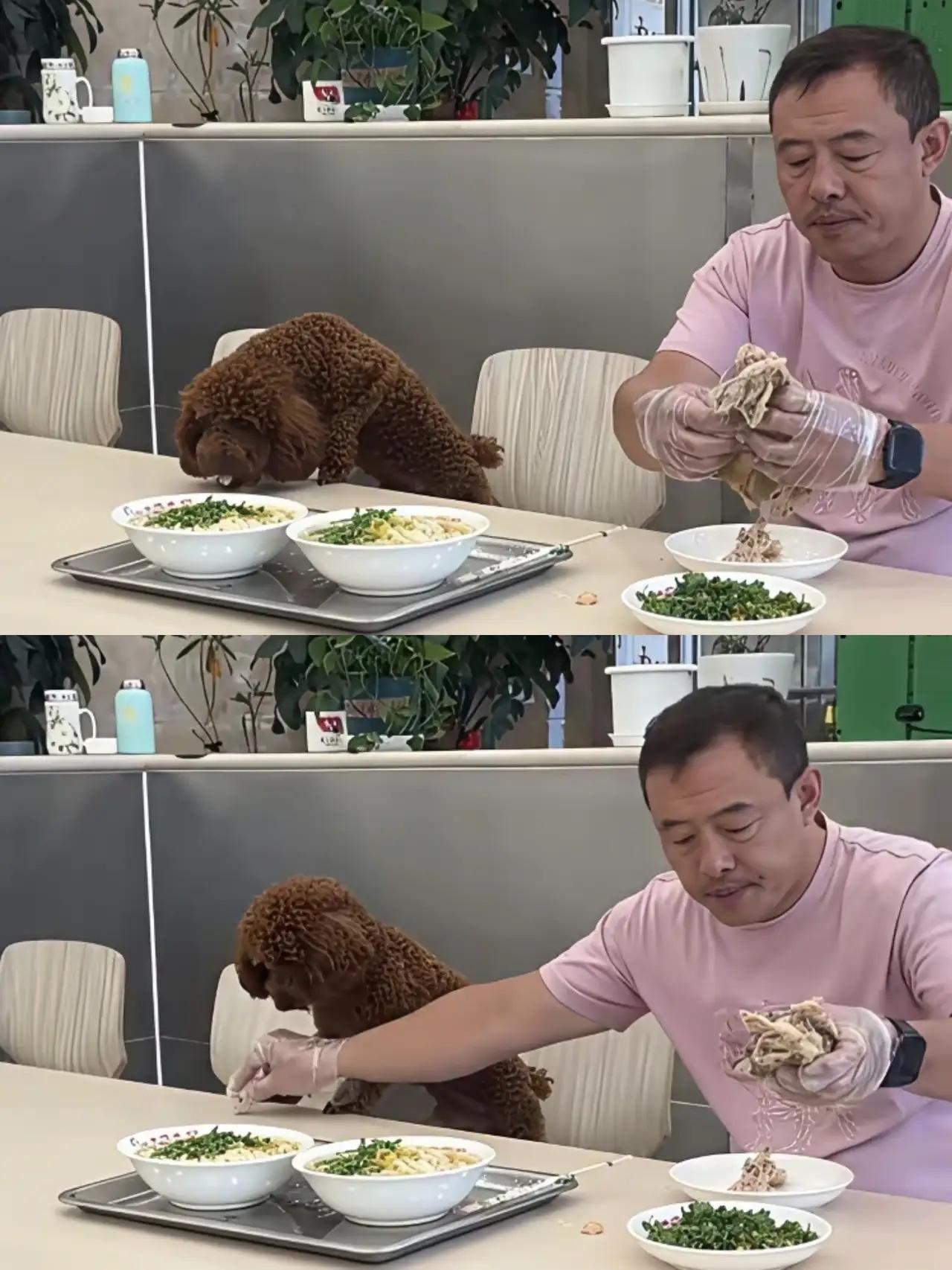 沈阳老四季面馆的老板，窝窝囊囊地得罪了全国人。

真是又怂又勇，说他胆子大吧，他