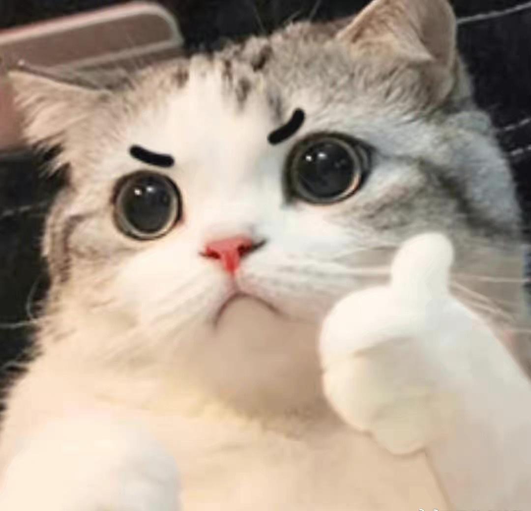 谁能想到，随口的脑洞居然能被认真对待，网友的超前创意正在一步步变成现实。