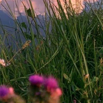 0000山川历经风雨依旧屹立，草木熬过寒冬依旧复苏，世间万物都拥有自愈与向上的力