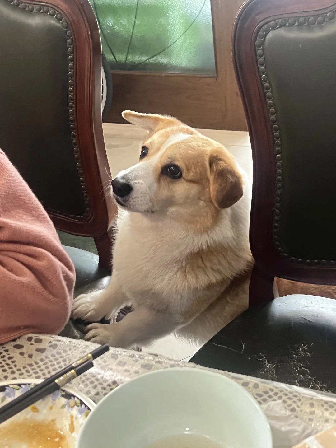 你说过有你一口就有我一口的