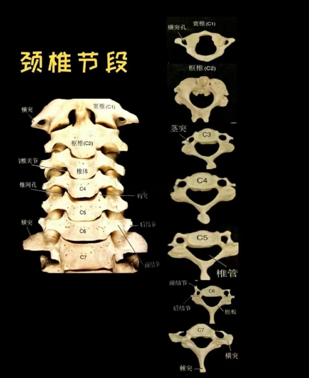其实从C3就开始笑啦[哈哈] ​​​
