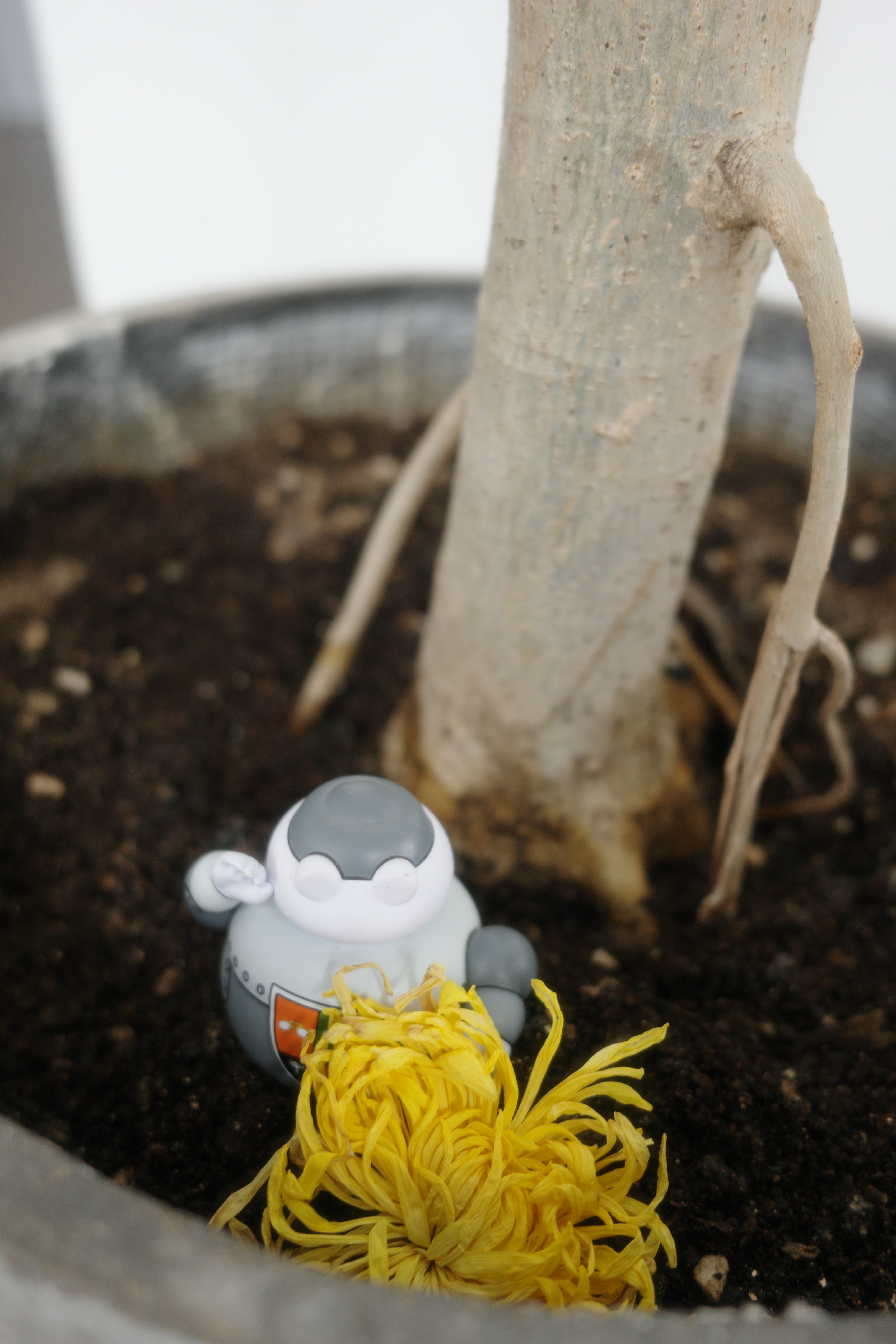 上班第一天，给“达芬奇”建墓地 