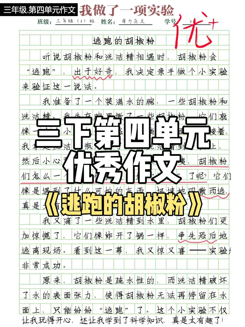 《逃跑的胡椒粉》小实验 三下作文范文
