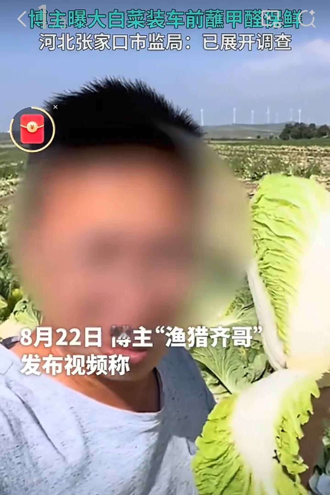 以前有博主说蔬菜里面有甲醛，还被相关部门辟谣了，说是流言，大可不必担心……