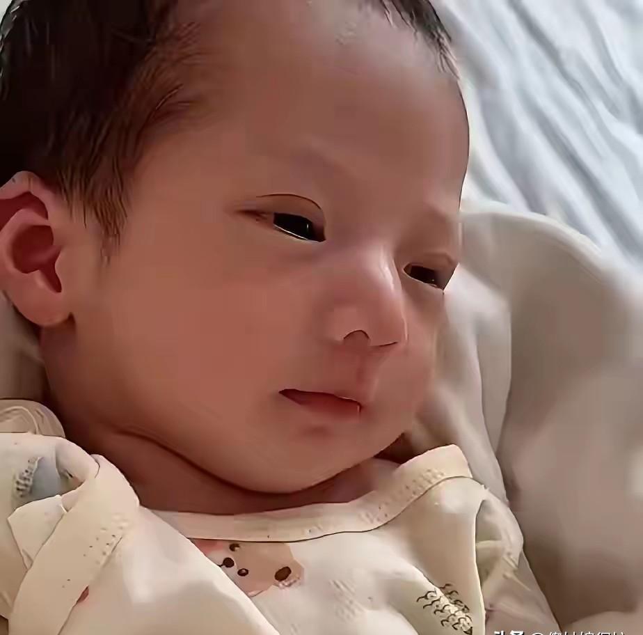 一个刚出生的婴儿，成了他母亲最硬的底牌，也是他父亲后半生最稳的江山。
高挺的鼻