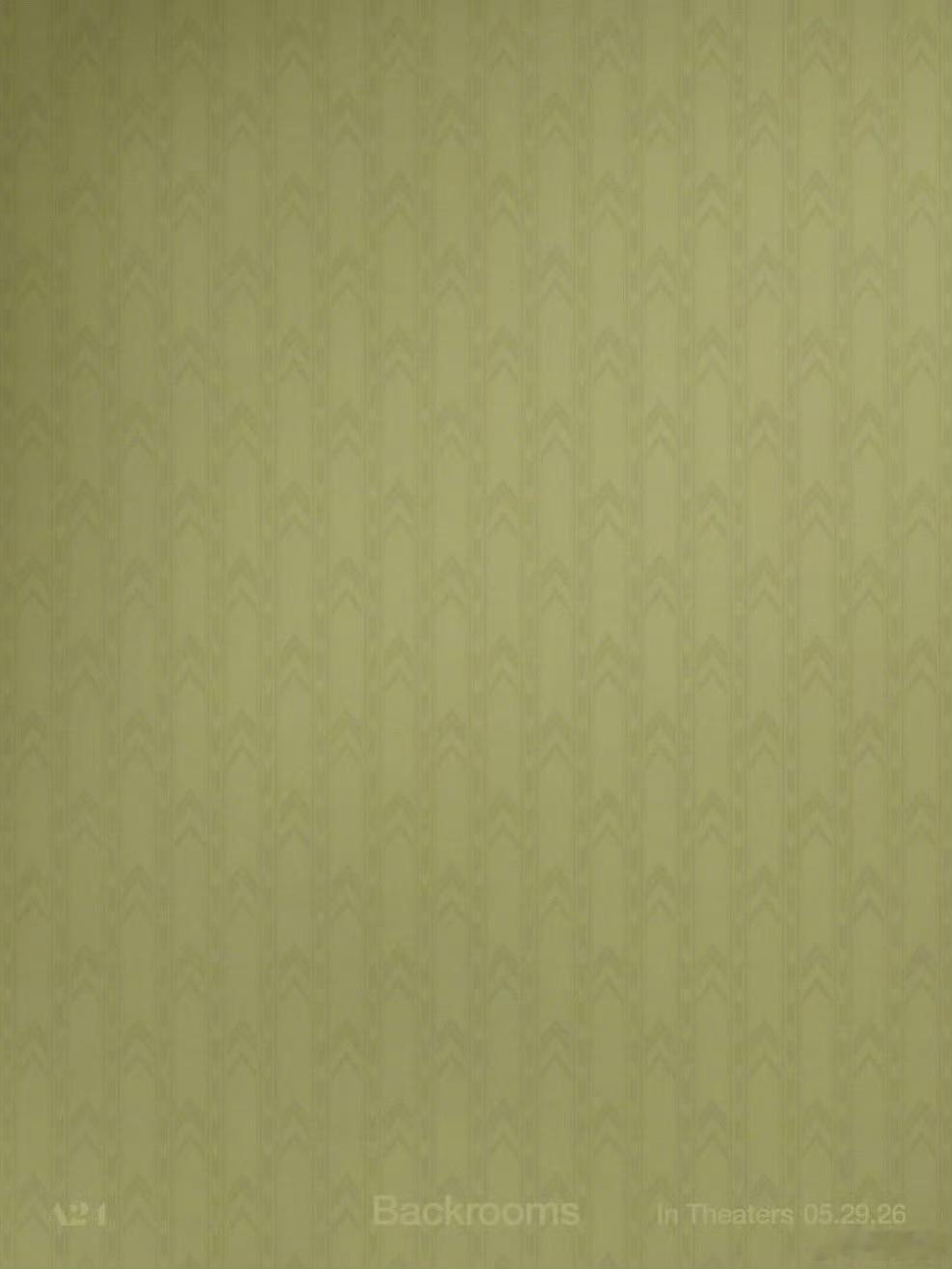 凯恩·帕森斯执导，雷娜特·赖因斯夫、切瓦特·埃加福主演的A24新片《后室 》发布