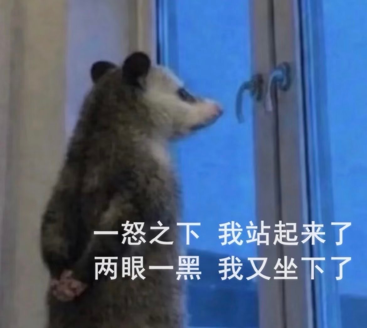 再也不相信领导画的大饼了 