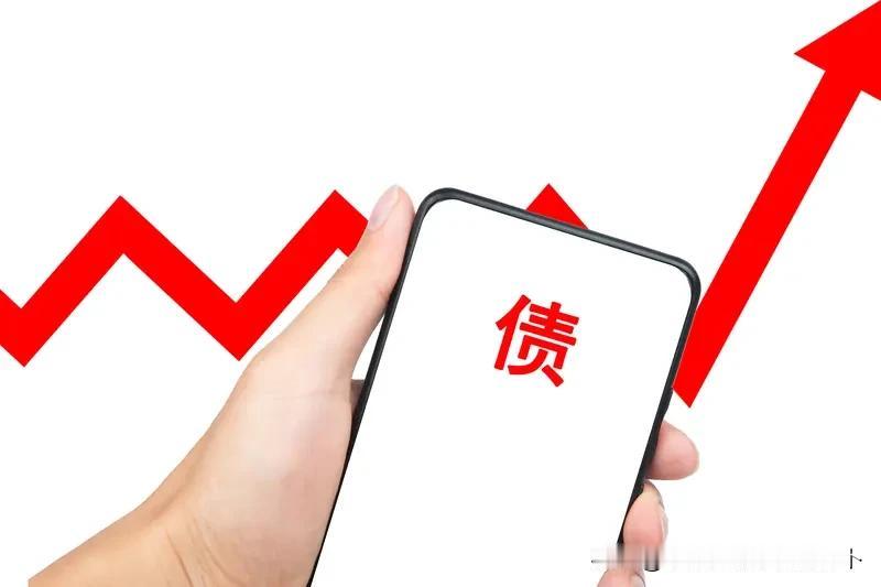 各位负债人，尤其是大额负债的，你们心里都是怎么想的，我每天只要想起来，每个月雷打