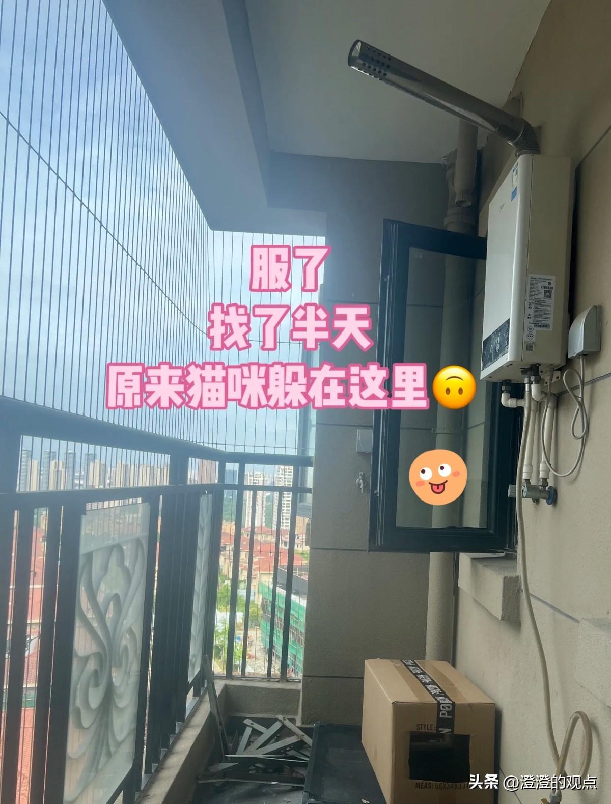 家人们谁懂啊！

找猫找了一整天，屋里屋外翻了个遍，活不见猫死不见尸，心都悬着，