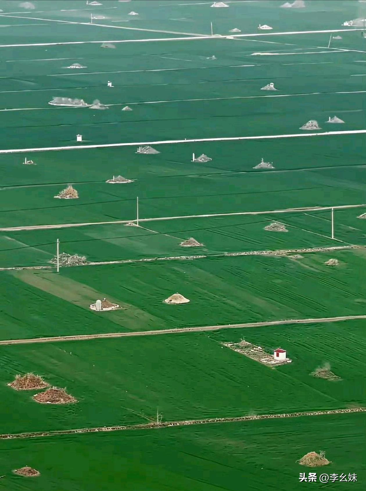 这也许就是不推行土葬的原因吧？