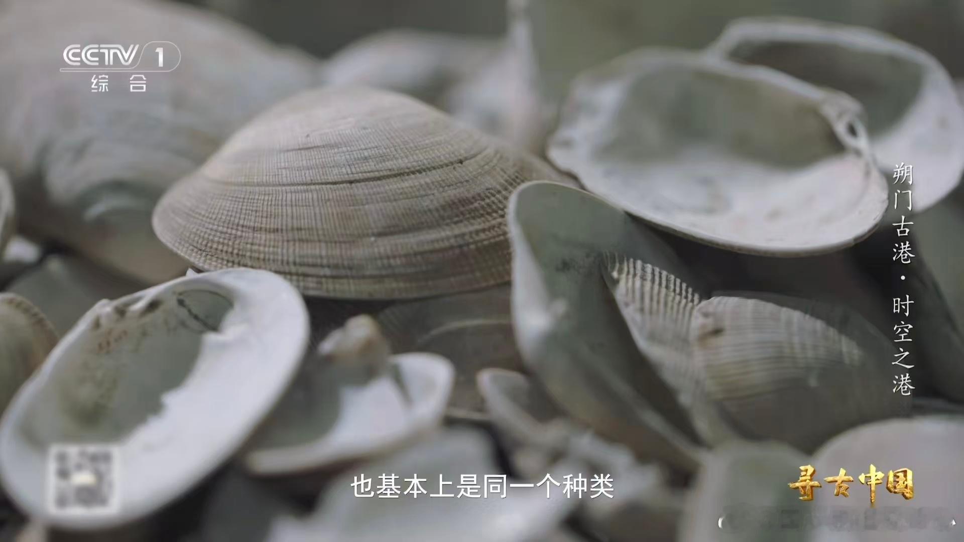 温州一千多年前就流行嗦螺了 我迷人的老祖宗真是亏待谁也没亏待自己，那么多年前就开