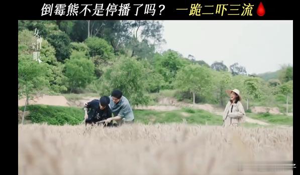 男女主吭哧吭哧帮了一堆倒忙《女神蒙上眼》里男女主吭哧吭哧种地的这段剧情，把搞笑氛