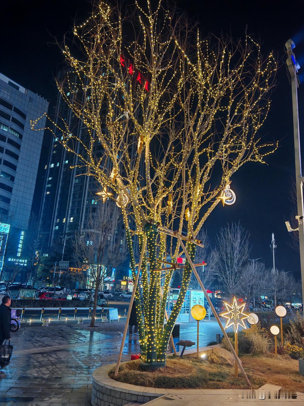 夜晚街头的星光树
 
晚上出门溜达，一抬头就被街边这棵树惊艳到了。

光秃秃的枝