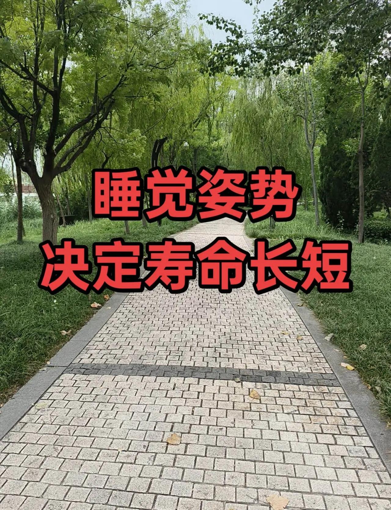 大比分1‑2陷入险境！国乒女团上演惊心动魄大逆转。孙颖莎顶住重压连拿两分稳住局势