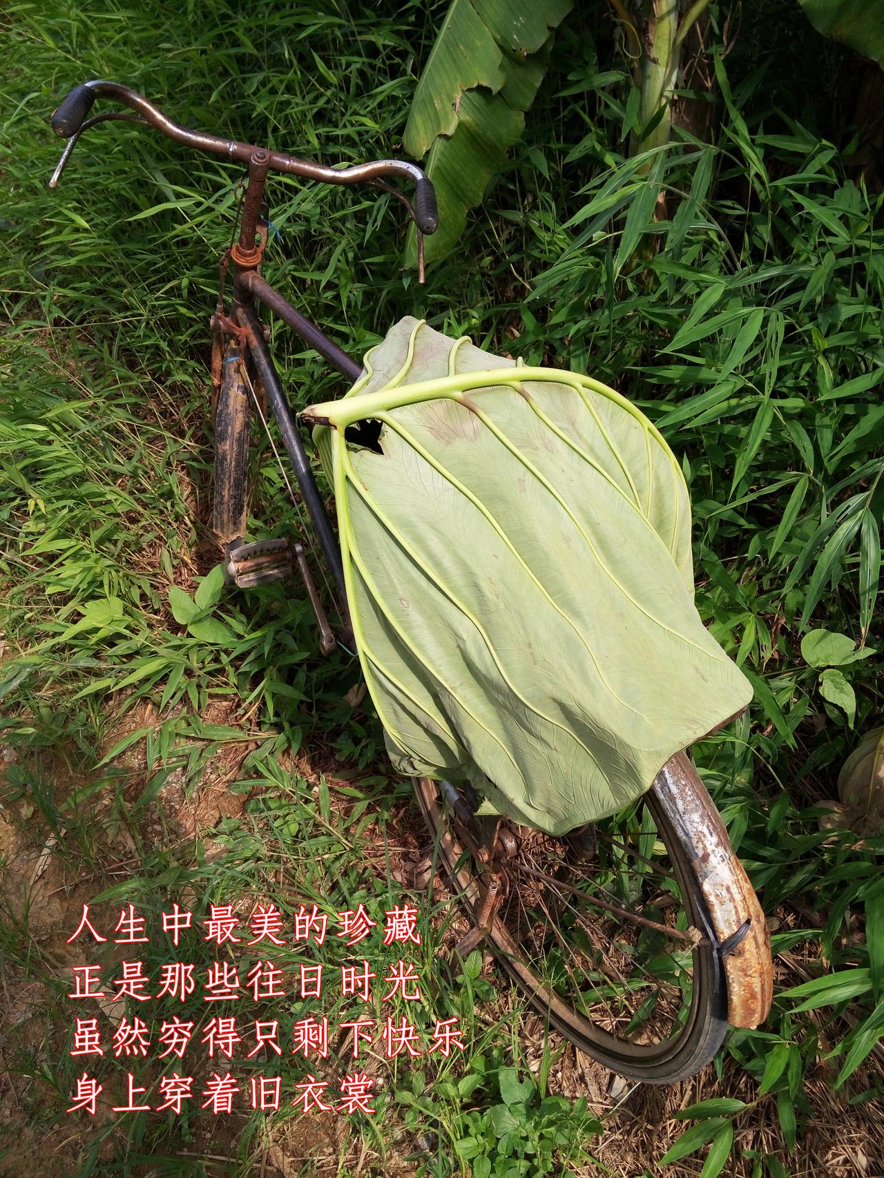 人生中最美的珍藏
正是那些往日时光
虽然穷得只剩下快乐
身上穿着旧衣裳