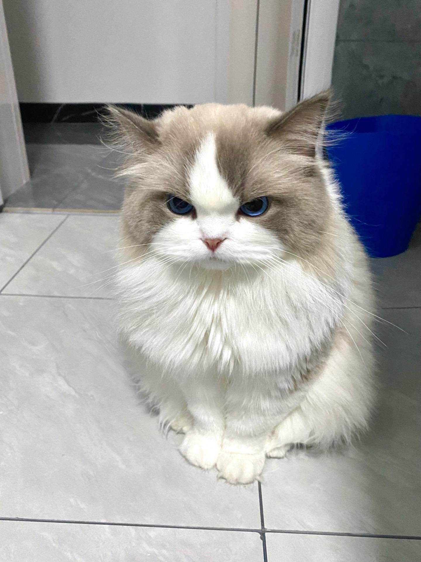 把他的空调关了 委屈的快哭了。