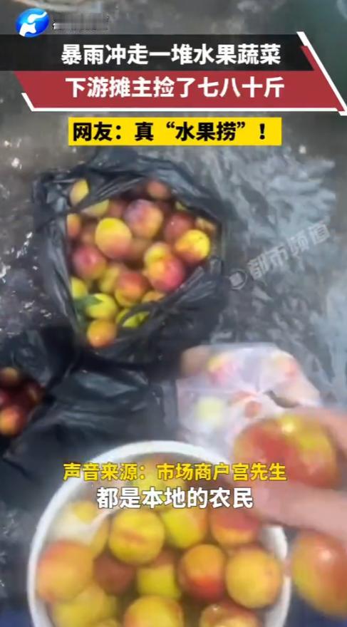 “还真白嫖上了！”8月21日，大连，一男子在路段下游摆摊卖水果，结果，一场大暴雨
