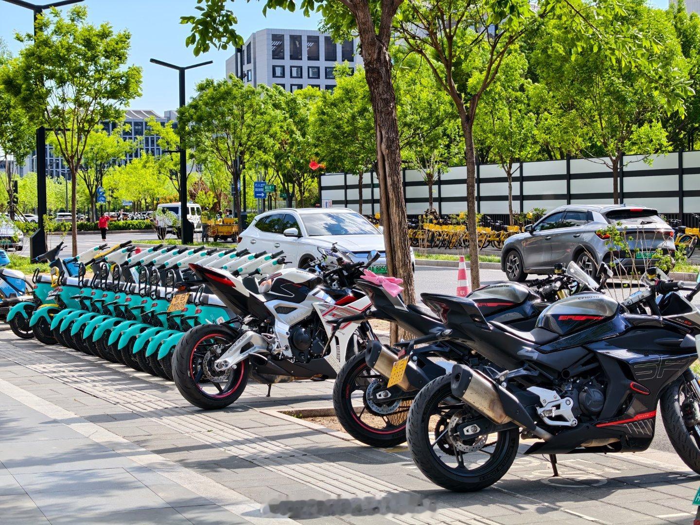 今天天气真好。蓝蓝的天空洁白的云朵翠绿的树木iQOO15u的影像也不错。iqoo