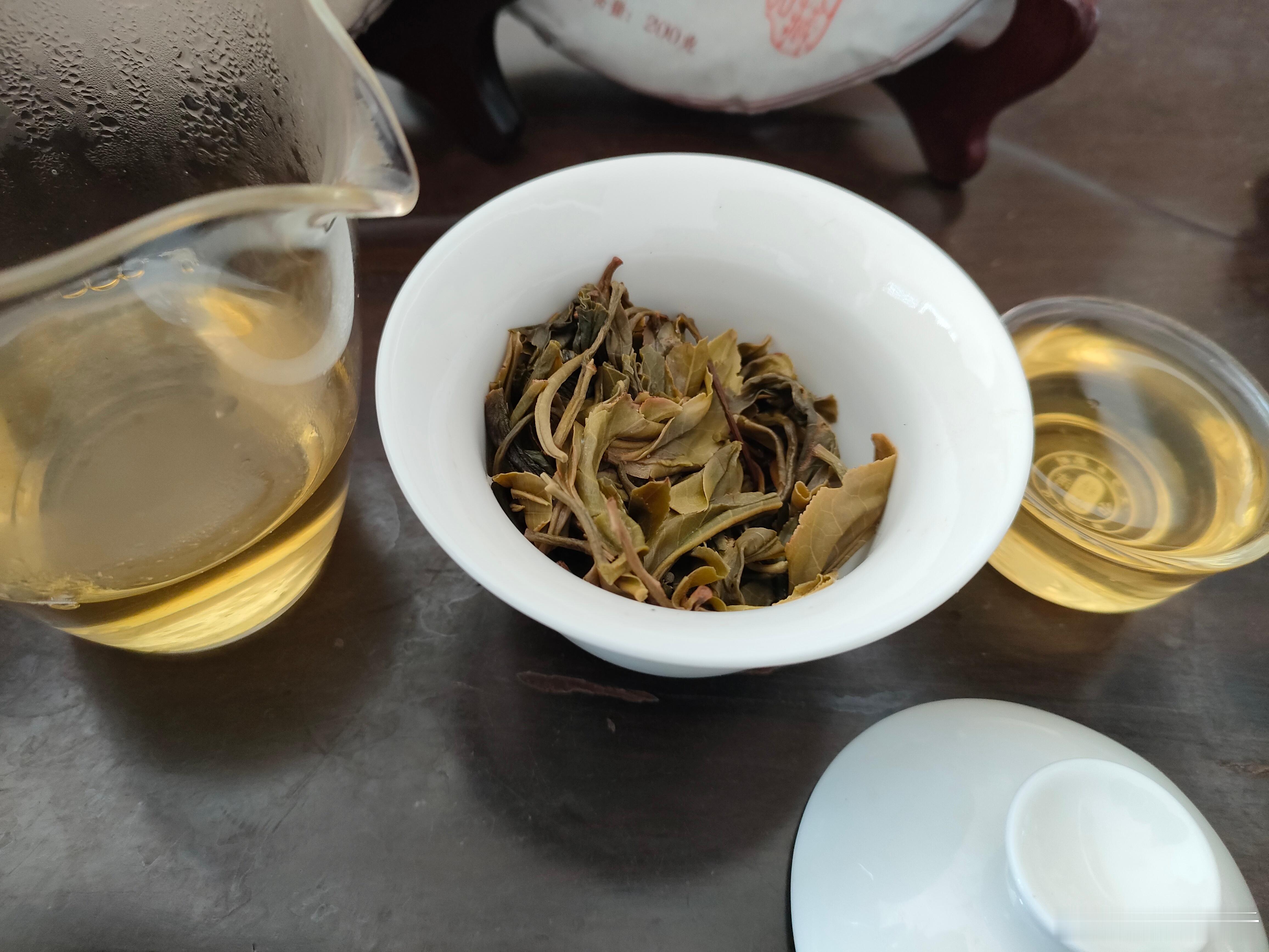 回味88青饼。茶人茶事 ​​​