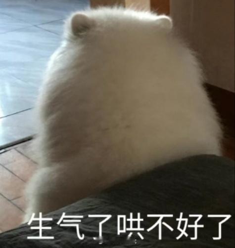 晚上好～

分享一下最近在玩的游戏吧～[羞嗒嗒]

#兔玩2333时刻#