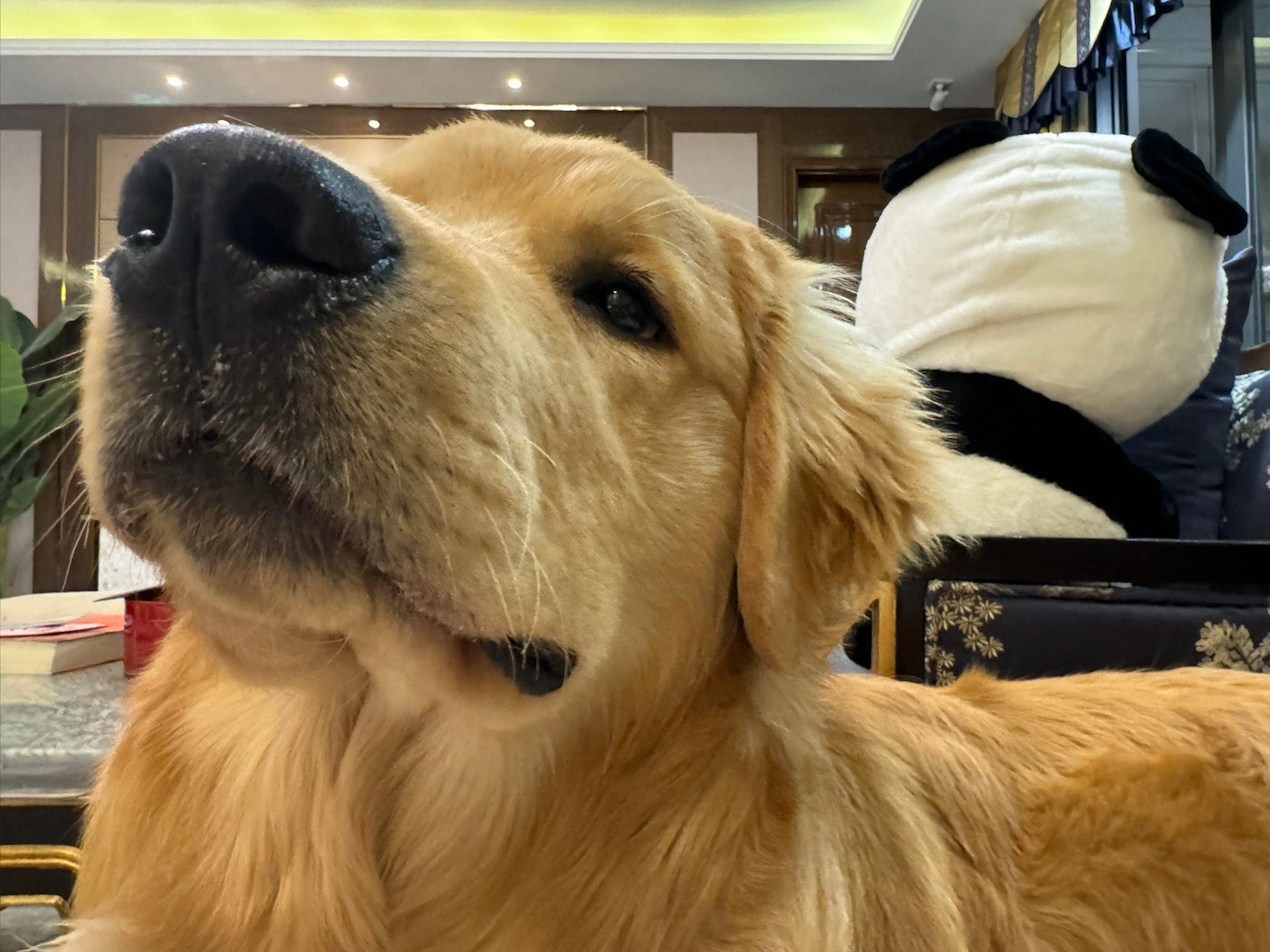 离开他就不能再爱他了吗#joker# ​​​