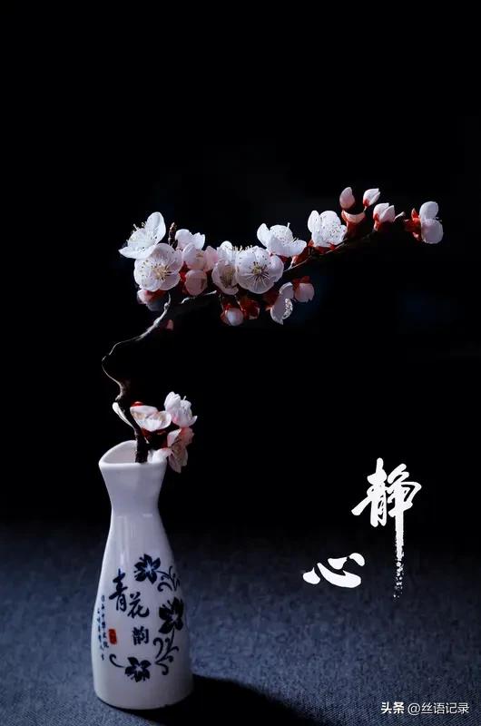 保持平常心
付出努力
做不成的事
也有可能
不要一味自责
不要内耗自己