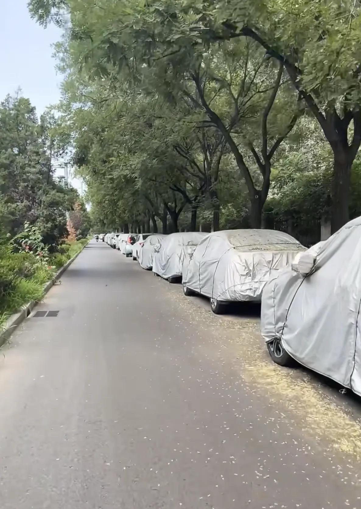 这是防止什么