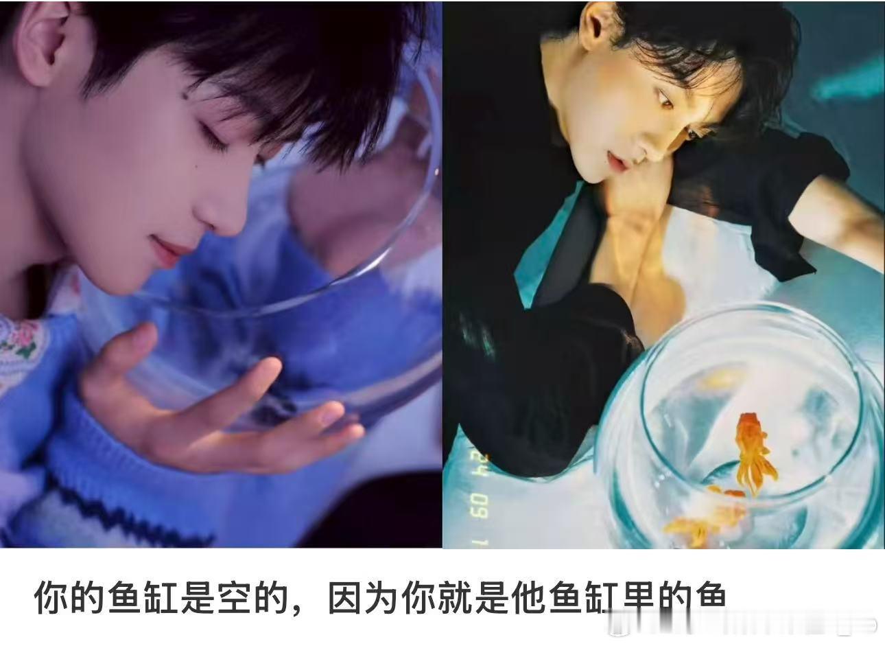 我真的不行了 田栩宁梓渝同款鱼缸照