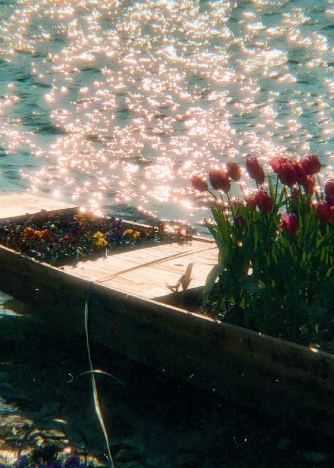 《杀死一只知更鸟》里有这样一段话:“勇敢是当你还未开始就已知道自己会输，可你依然