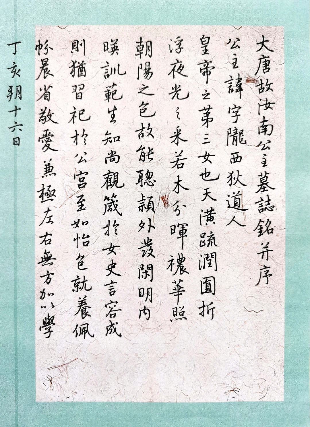 硬笔行书临虞世南之《大唐故汝南公主墓志》