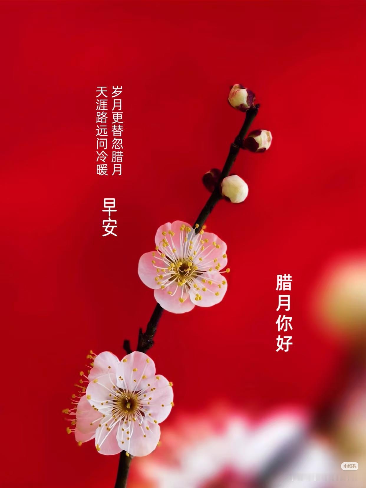 🥣🌾放平心态，稳住生活🌻人生一晃几十岁，活得潇洒才叫对；好好爱自己是智慧，