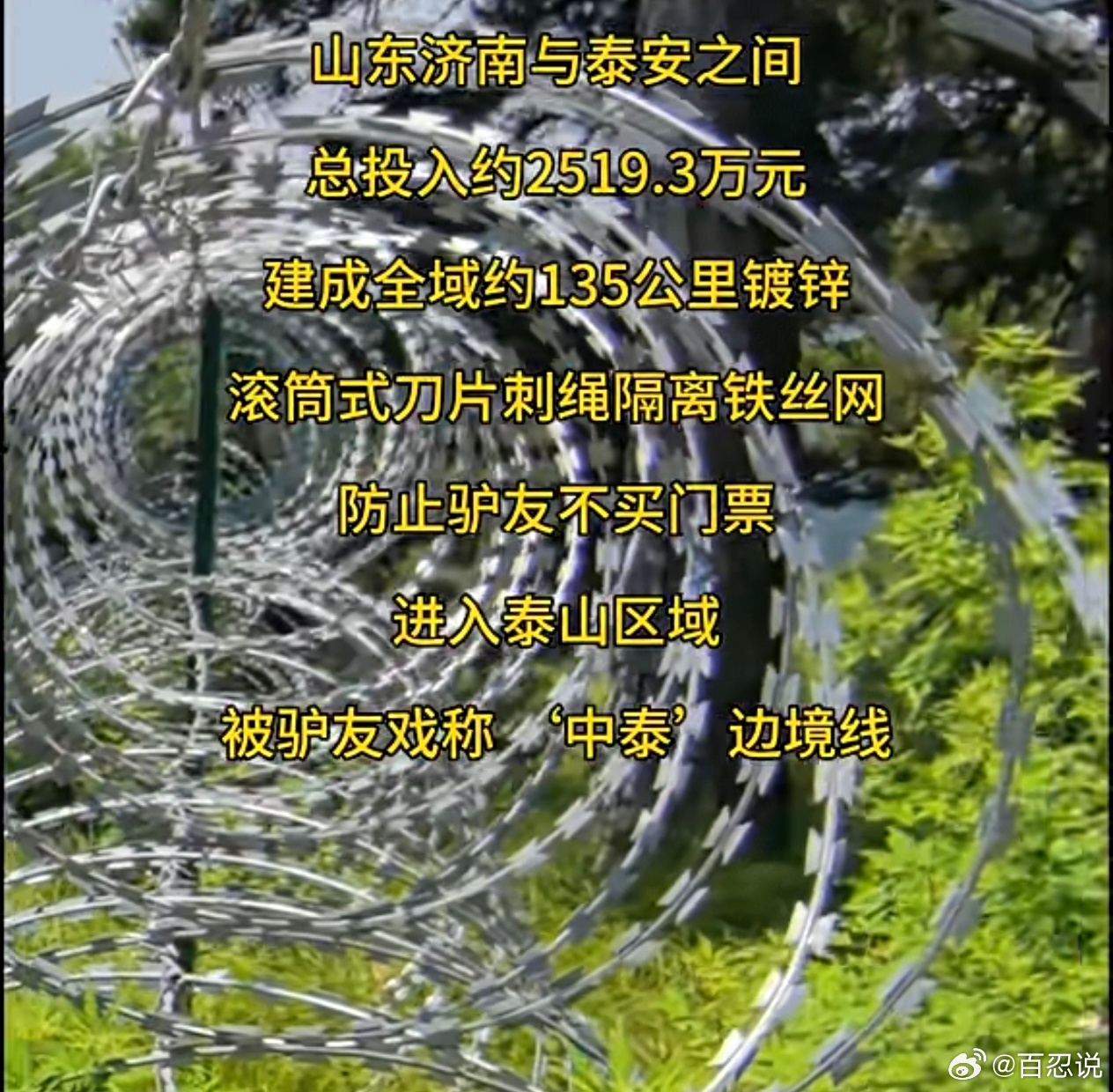 有关利益的事，他们的积极性都会高的惊人。 