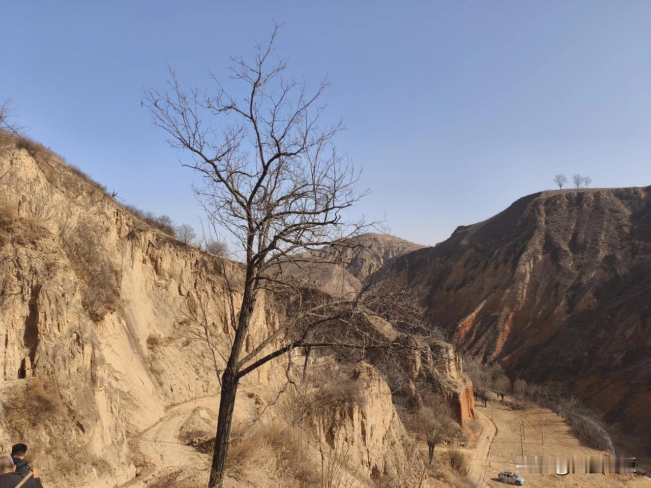 晒图笔记大赛今天见到了平凡的世界里的真正的黄土高原，干燥，荒凉，缺水，人们与天斗