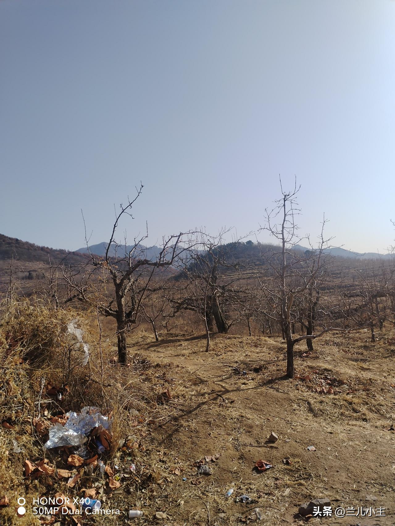 喜欢打卡就是会杜绝懒惰，抽卡次数会增加，喜欢这感觉。

春节马上要结束了，收心好