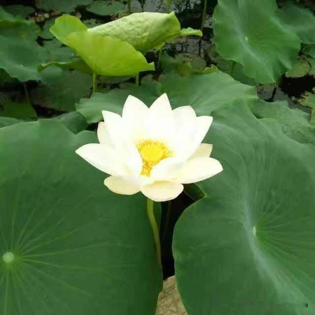 时光如梭，岁月如歌，记忆中的美好，永远留存。