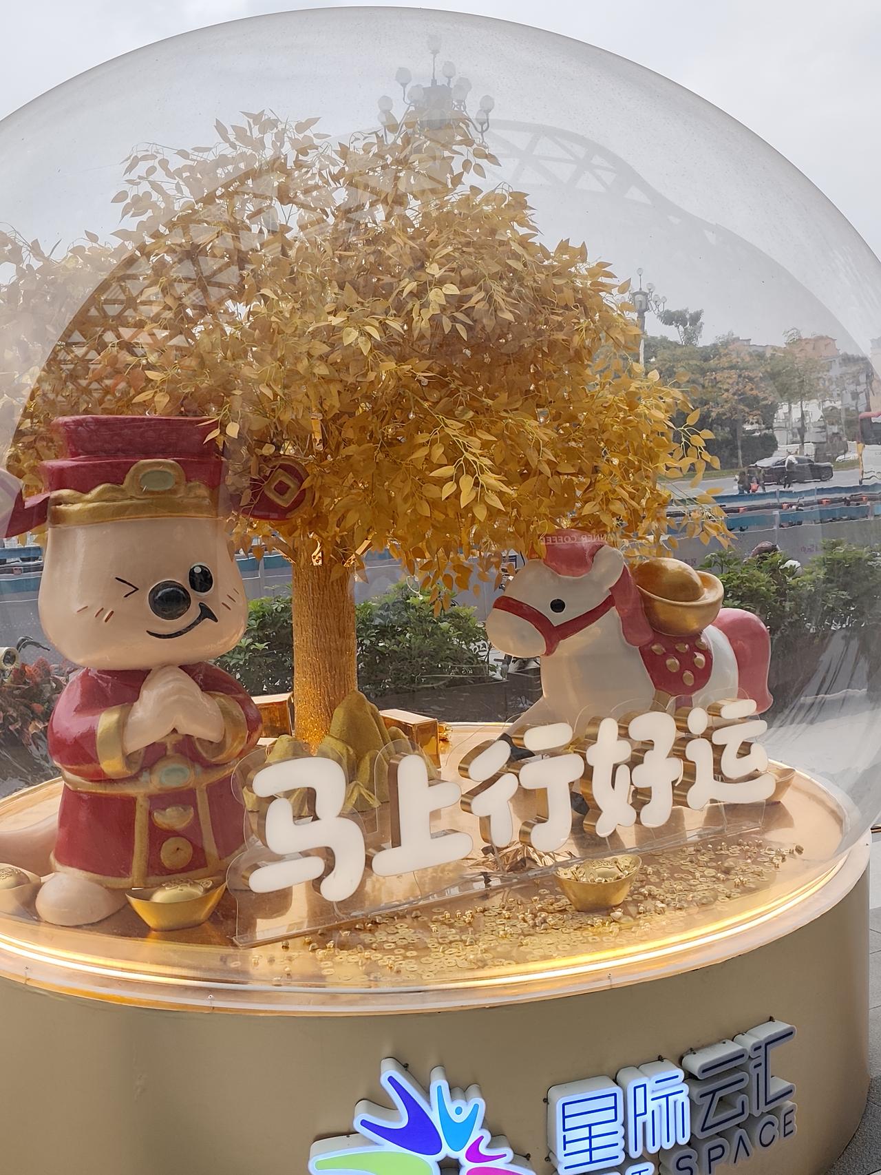 总结一下今年过年期间，我的朋友圈里看到各种各样的事情，去逛花市的，去旅游的，去探