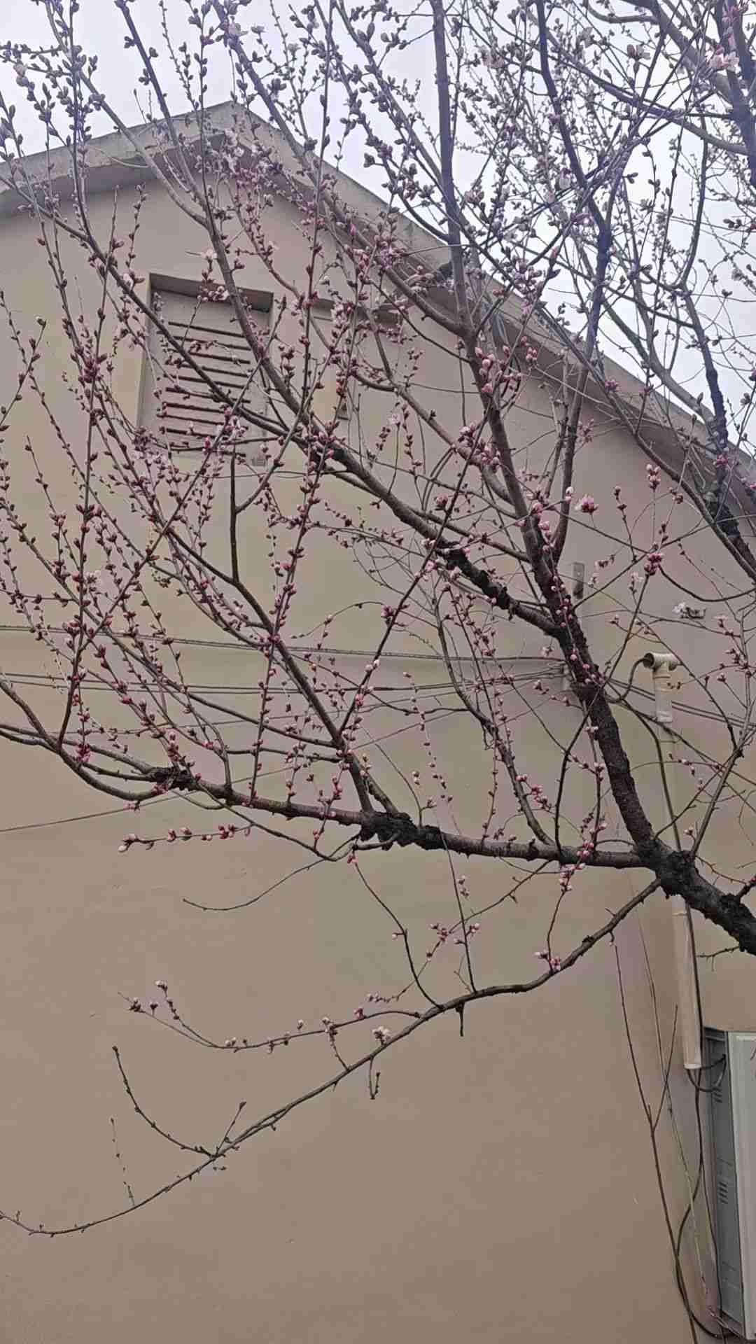 我的今日状态：😁轻松愉快
我这里的天气：🌤️多云