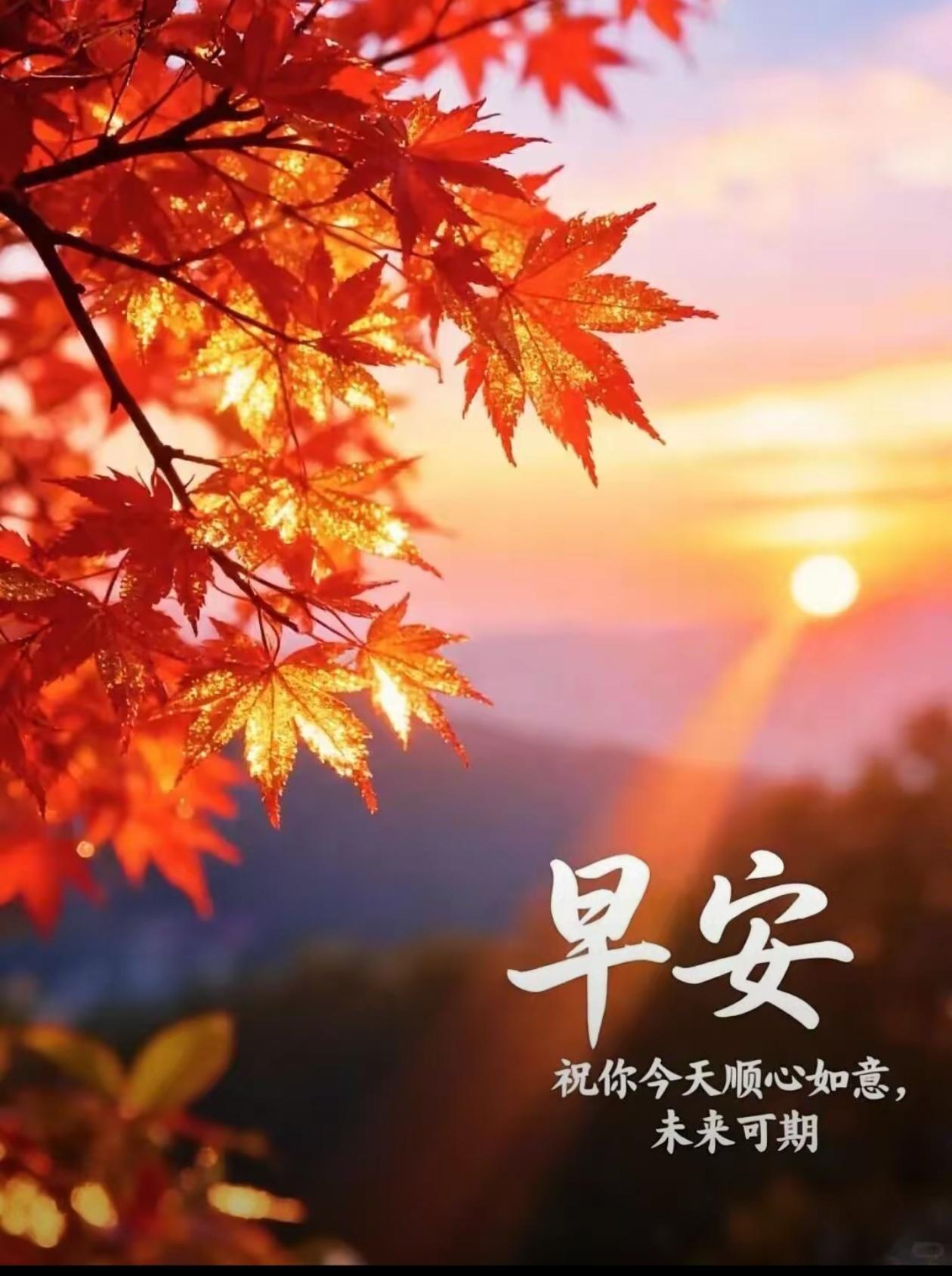 [福]2026./9月2日，云天澄霁，金风送韵[福]

 
🌿🍁清平乐.秋?