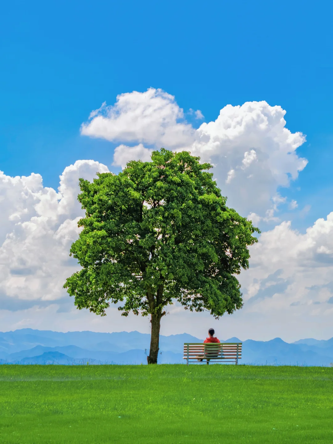 i人逃离计划🌳浙江这个冷门景点真的香‼️
