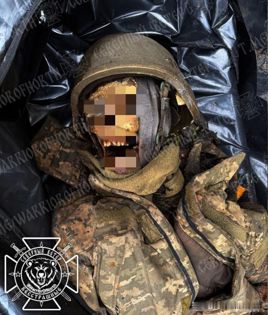 #俄乌冲突# #俄乌局势新进展# 
特别备注: 严禁18岁以下未成年人观看下面图